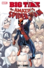 Image for Spider-man: Big Time