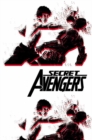 Image for Secret Avengers: Run The Mission, Don&#39;t Get Seen, Save The World.
