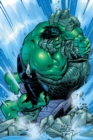 Image for Incredible Hulk: Past Perfect