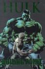 Image for Hulk: Boiling Point