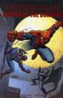 Image for Spider-man: Return Of The Burglar