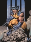 Image for Essential WolverineVolume 2