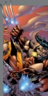 Image for Essential WolverineVolume 3