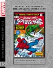 Image for Marvel Masterworks: The Amazing Spider-Man - Volume 15