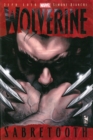 Image for Wolverine: Sabretooth