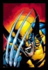 Image for Essential WolverineVolume 7