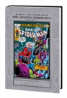 Image for Marvel Masterworks: The Amazing Spider-man Volume 17