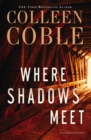 Image for Where Shadows Meet: A Romantic Suspense Novel