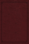 Image for NKJV Study Bible, Leathersoft, Red, Thumb Indexed, Comfort Print