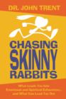 Image for Chasing Skinny Rabbits : What Leads You Into Emotional and Spiritual Exhaustion...and What Can Lead You Out