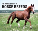 Image for The Ultimate Guide to Horse Breeds