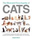 Image for The illustrated encyclopedia of cats  : a visual directory of cat breeds, plus practical information on breeding, training, and care