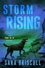 Image for Storm Rising : 3