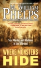 Image for Where monsters hide: sex, murder, and madness in the Midwest