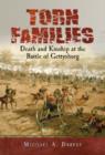 Image for Torn Families : Death and Kinship at the Battle of Gettysburg