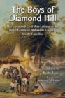 Image for The Boys of Diamond Hill : The Lives and Civil War Letters of the Boyd Family of Abbeville County, South Carolina