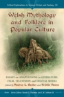 Image for Welsh mythology and folklore in popular culture: essays on adaptations in literature, film, television and digital media