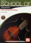 Image for School of Mandolin : Basic Chords and Soloing