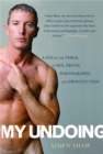 Image for My Undoing : Love in the Thick of Sex, Drugs, Pornography, and Prostitution