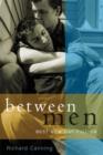 Image for Between men  : best new gay fiction