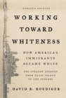 Image for Working toward whiteness: how America&#39;s immigrants became white : the strange journey from Ellis Island to the suburbs