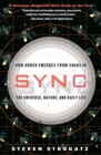 Image for Sync