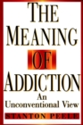 Image for The Meaning of Addiction : An Unconventional View
