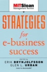 Image for Strategies for e-business success