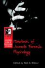 Image for California School of Professional Psychology Handbook of Juvenile Forensic Psychology