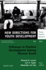 Image for Pathways to Positive Development Among Diverse Youth