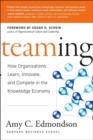 Image for Teaming  : how organizations learn, innovate, and compete in the knowledge economy