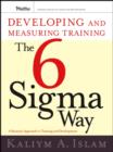 Image for Developing and Measuring Training the Six Sigma Way