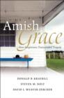 Image for Amish Grace