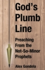 Image for God&#39;s Plumb Line : Preaching From the Not-So-Minor Prophets