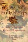 Image for Tales from Family Therapy : Life-Changing Clinical Experiences