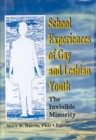 Image for School Experiences of Gay and Lesbian Youth