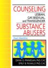 Image for Counseling Lesbian, Gay, Bisexual, and Transgender Substance Abusers : Dual Identities