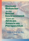 Image for Human Behavior in the Social Environment from an African American Perspective