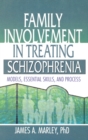 Image for Family Involvement in Treating Schizophrenia