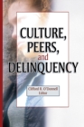 Image for Culture, peers, and delinquency