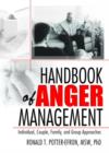 Image for Handbook of anger management  : group, individual, couple, and family approaches