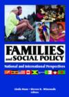 Image for Families and social policy  : national and international perspectives