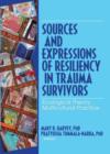 Image for Sources and Expressions of Resiliency in Trauma Survivors