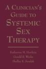 Image for A Clinician&#39;s Guide to Systemic Sex Therapy : Step by Step