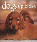 Image for Dogs Up Close