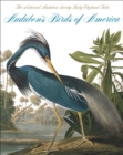 Image for Audubon&#39;s birds of America  : the Audubon Society baby elephant folio