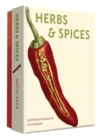 Image for Herbs and Spices Detailed Notecard Set : Detailed Notes