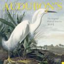 Image for Audubon&#39;s Watercolors : The Original Birds of America 2015