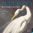 Image for Audubon&#39;S Watercolors 2020 Square Wall Calendar