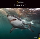 Image for National Geographic: Sharks 2022 Wall Calendar